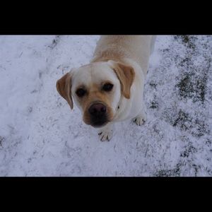 Meet your Posher, Pat